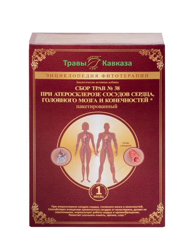 Купить сбор № 38 при атеросклерозе сосудов сердца, головного мозга и конечностей, 120 фильтр пакетов с доставкой по России